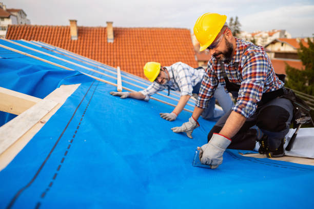 Best Shingle Roofing Installation  in Barbourville, KY